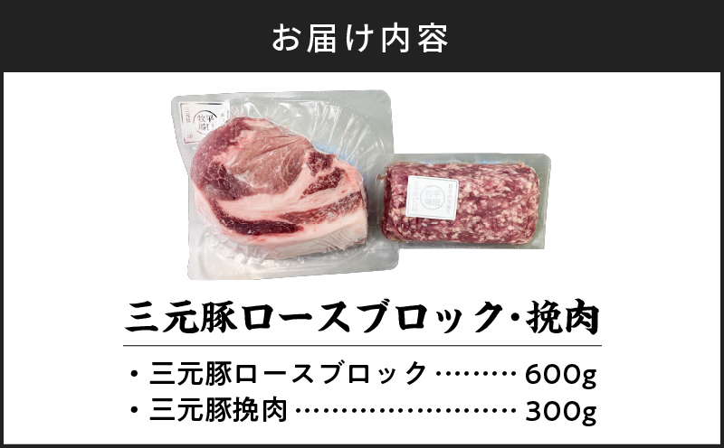 日本の米育ち平田牧場 三元豚ロースブロック（600g）・挽肉（300g）計900g　T036-009