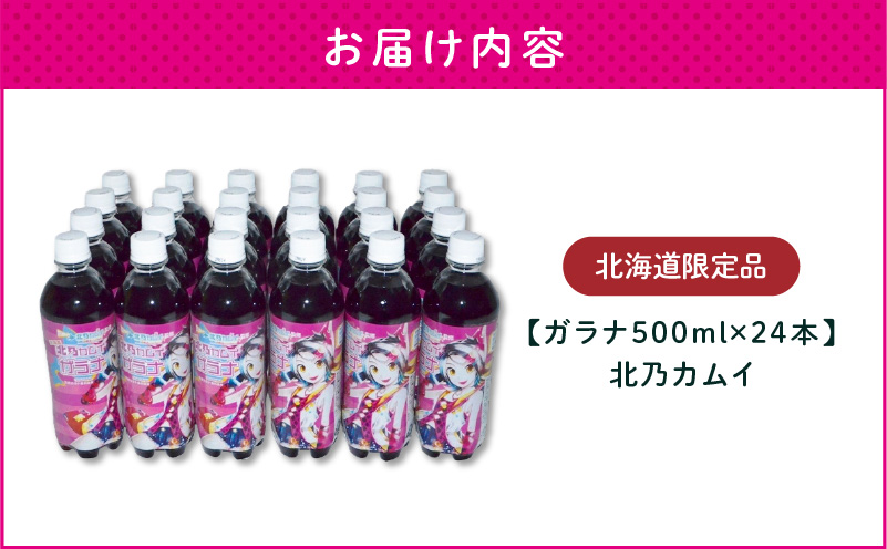 【ガラナ 500ml×24本】北乃カムイ　T057-002