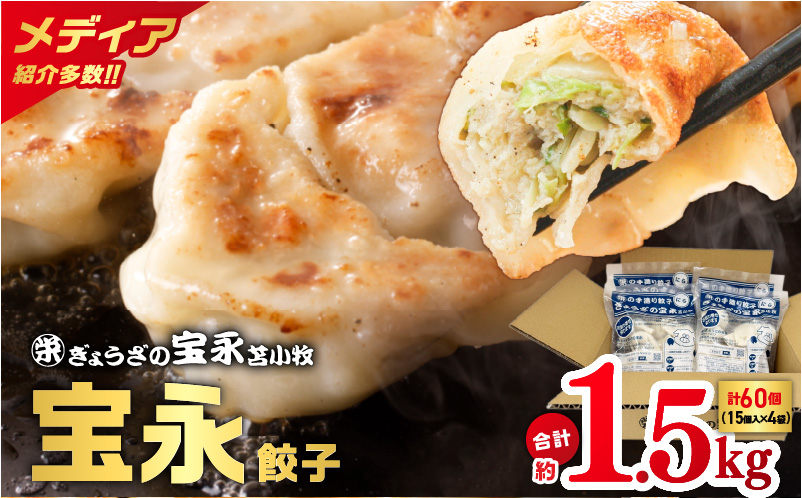 ぎょうざの宝永 宝永餃子 15個入セット（宝永餃子15個入×4袋）合計1.5kg　T004-001