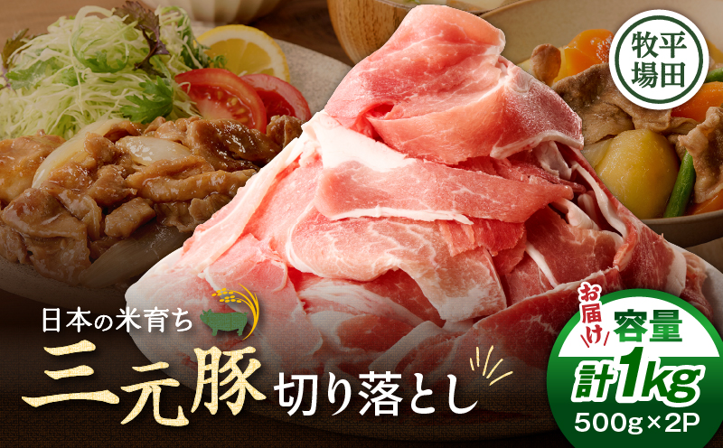 日本の米育ち平田牧場 三元豚切り落とし 500g×2パック（計1kg）　T036-004