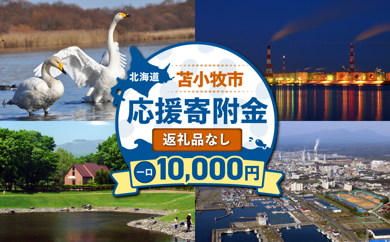 北海道苫小牧市応援寄附金（返礼品なし）10,000円　T000-001-03