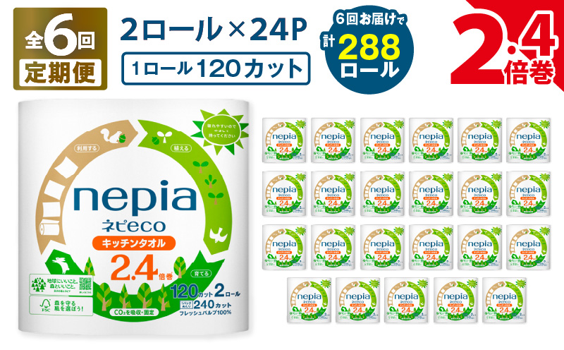 【全6回定期便】紙のまち苫小牧 ネピeco キッチンタオル 2.4倍巻 2ロール 24パック 紙包装（48ロール×6回）　T001-T10