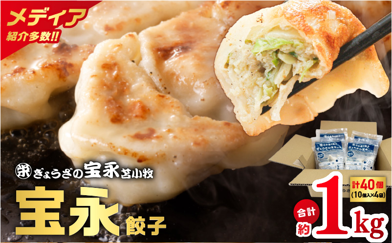 ぎょうざの宝永 宝永餃子10個入セット（宝永餃子10個入×4袋）合計1.0kg　T004-003