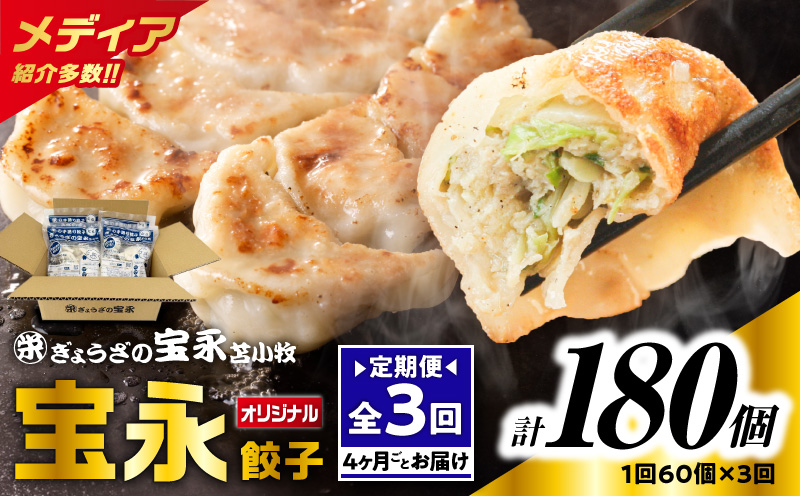 【全3回定期便（4ヶ月毎）】ぎょうざの宝永 宝永餃子 15個入セット（宝永餃子15個入×4袋）合計1.5kg　T004-T01-01