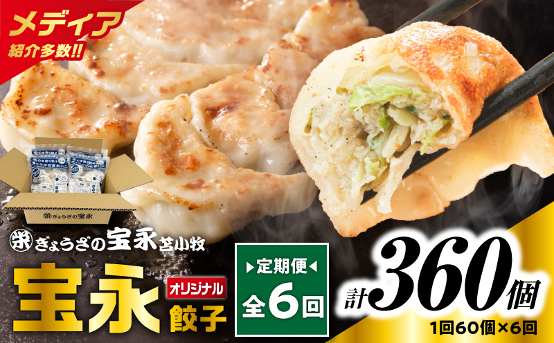 【全6回定期便（毎月）】ぎょうざの宝永 宝永餃子 15個入セット（宝永餃子15個入×4袋）合計1.5kg　T004-T01-04