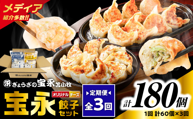 【全3回定期便（毎月）】チーズ餃子セット（宝永餃子 15個入×2袋＆チーズ餃子 15個入×2袋）合計1.5kg　T004-T02-02