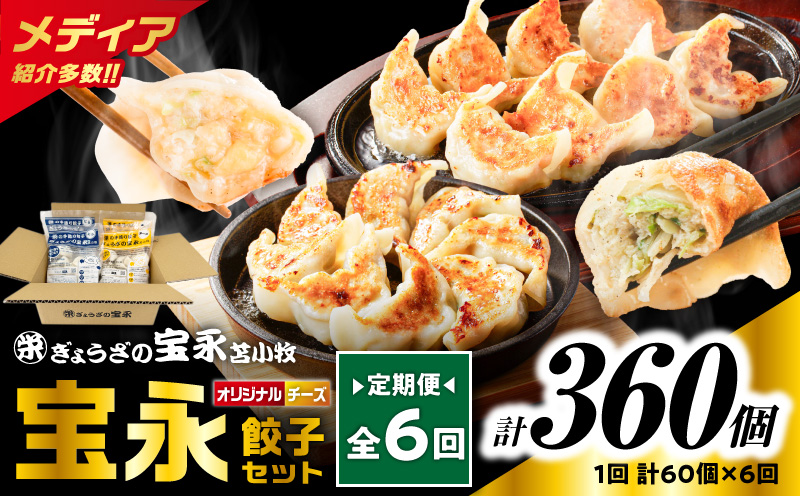 【全6回定期便（毎月）】チーズ餃子セット（宝永餃子 15個入×2袋＆チーズ餃子 15個入×2袋）合計1.5kg　T004-T02-04