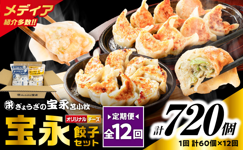 【全12回定期便（毎月）】チーズ餃子セット（宝永餃子 15個入×2袋＆チーズ餃子 15個入×2袋）合計1.5kg　T004-T02-05