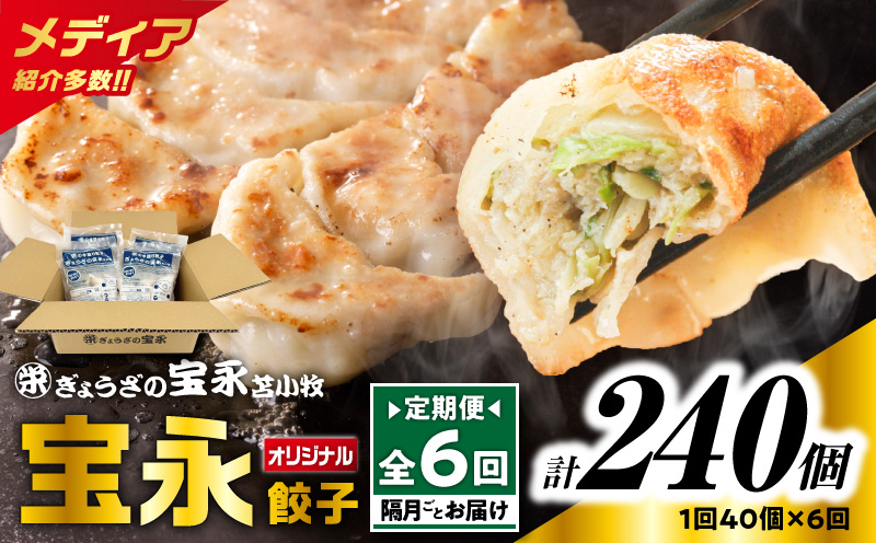 【全6回定期便（隔月）】宝永餃子10個入セット（宝永餃子10個入×4袋）合計1.0kg　T004-T03-03