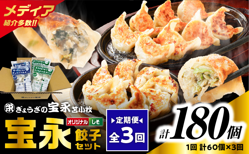【全3回定期便（毎月）】ぎょうざの宝永 しそ餃子セット（宝永餃子 15個入×2袋＆しそ餃子 15個入×2袋）合計1.5kg　T004-T04-02