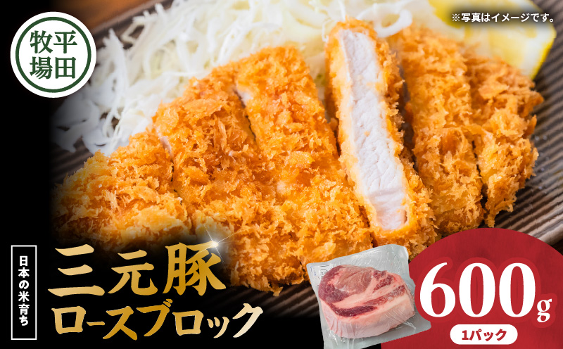 【平田牧場】三元豚ロースブロック 600g　T036-014