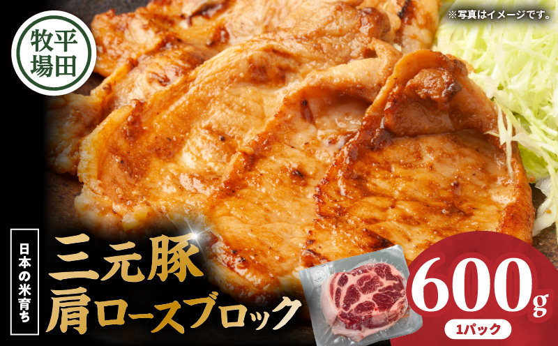 【平田牧場】三元豚肩ロースブロック 600g　T036-016