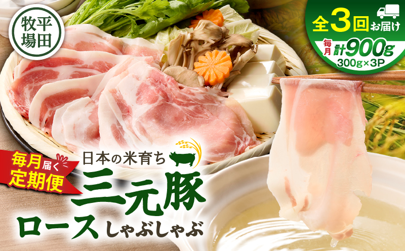 【全3回 毎月定期便】日本の米育ち平田牧場 三元豚ロースしゃぶしゃぶ　T036-T01-01