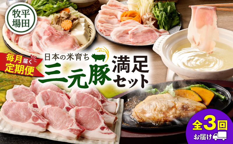 【全3回 毎月定期便】日本の米育ち平田牧場の満足セット！　T036-T05-01