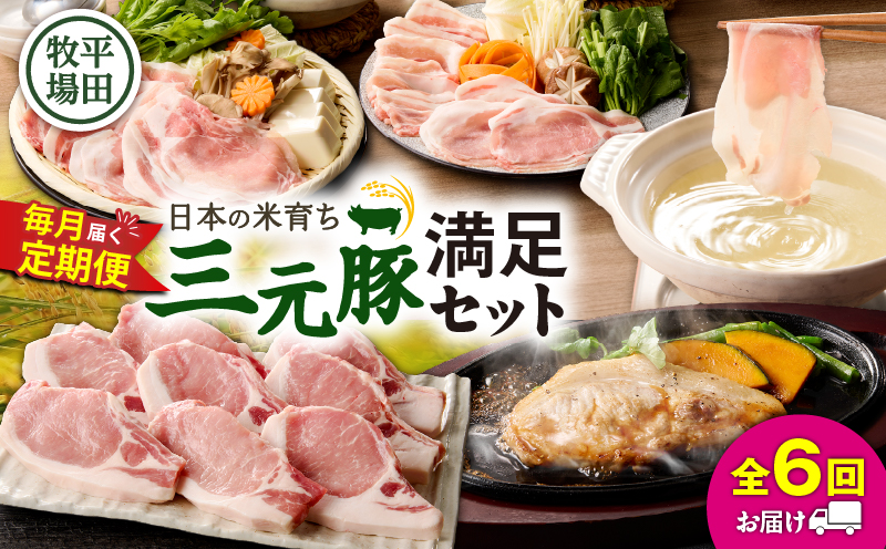 【全6回 毎月定期便】日本の米育ち平田牧場の満足セット！　T036-T05-02