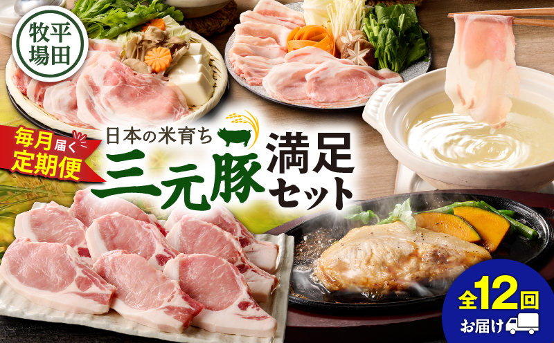 【全12回 毎月定期便】日本の米育ち平田牧場の満足セット！　T036-T05-03