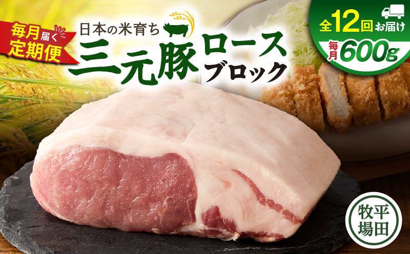 【全12回 毎月定期便】日本の米育ち平田牧場三元豚ロースブロック 600g　T036-T06-03