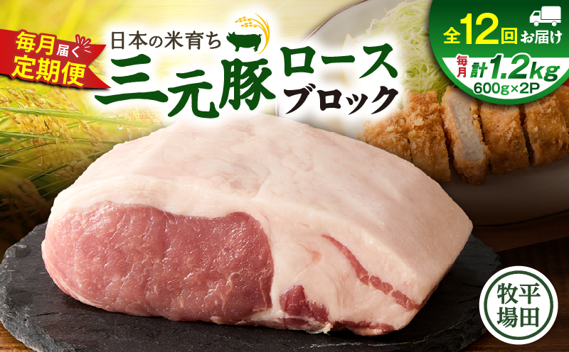 【全12回 毎月定期便】日本の米育ち平田牧場三元豚ロースブロック 1.2kg　T036-T07-03