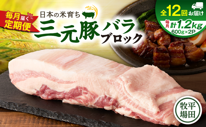 【全12回 毎月定期便】日本の米育ち平田牧場三元豚バラブロック 1.2kg　T036-T09-03