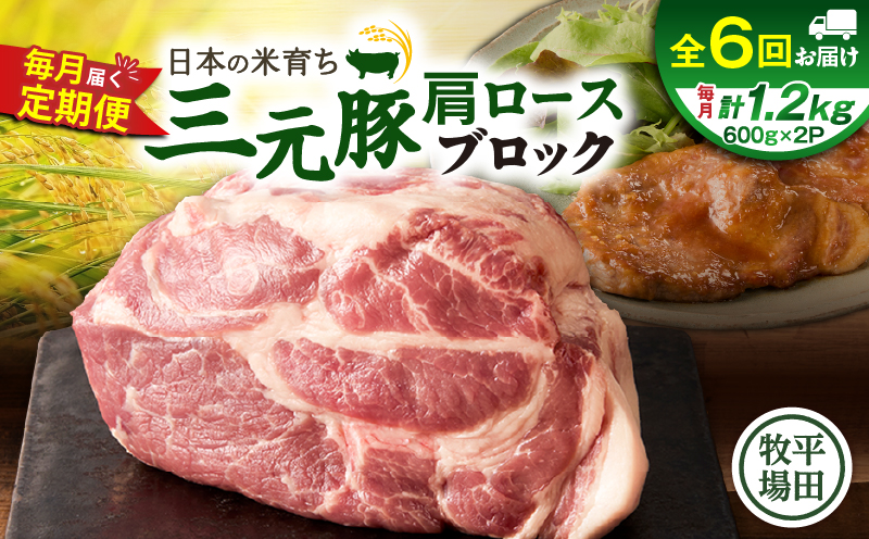 【全6回 毎月定期便】日本の米育ち平田牧場三元豚肩ロースブロック 1.2kg　T036-T11-02