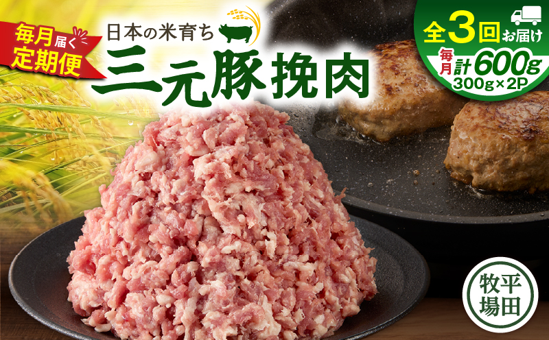 【全3回 毎月定期便】日本の米育ち平田牧場三元豚ひき肉 600g　T036-T12-01