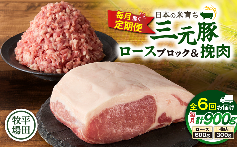 【全6回 毎月定期便】日本の米育ち平田牧場三元豚ロースブロック 600g・三元豚挽肉 300g　T036-T13-02