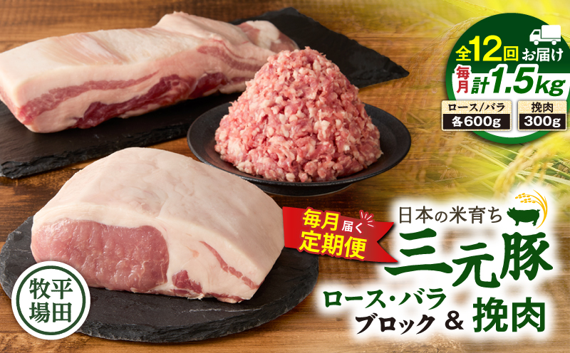 【全12回 毎月定期便】日本の米育ち平田牧場三元豚バラブロック 600g・豚ロースブロック 600g・豚挽肉 300g　T036-T14-03