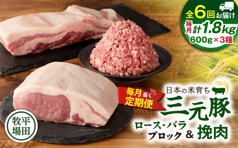 【全6回 毎月定期便】日本の米育ち平田牧場三元豚バラブロック 600g・豚ロースブロック 600g・豚挽肉 600g　T036-T15-02