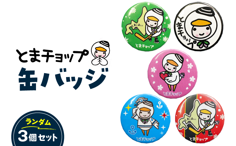 缶バッジ3個セット（柄おまかせ）　T042-011