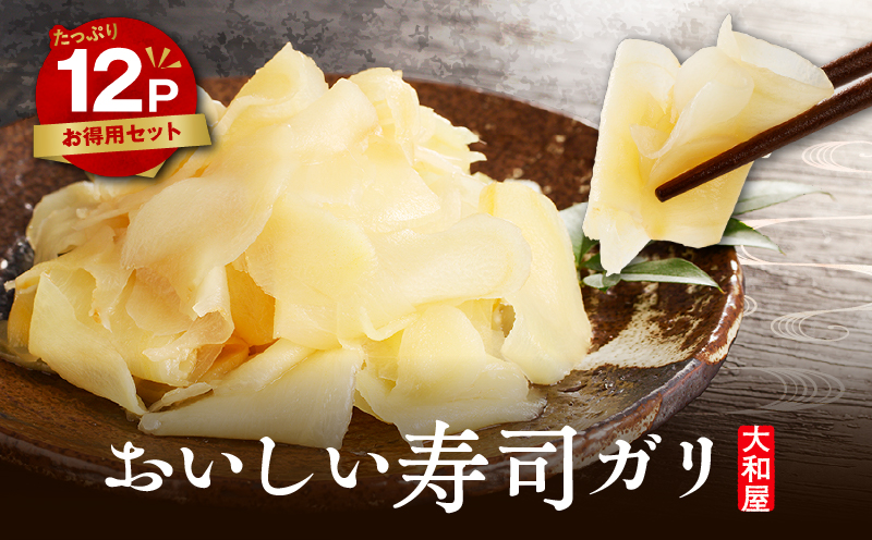 おいしい寿司ガリお徳用セット（12個入り）　T055-016