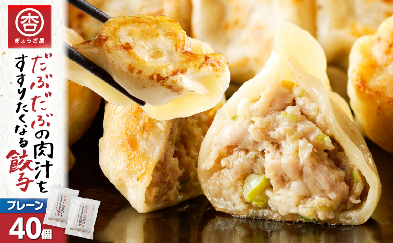 だぶだぶの肉汁をすすりたくなる餃子 40個　T060-001