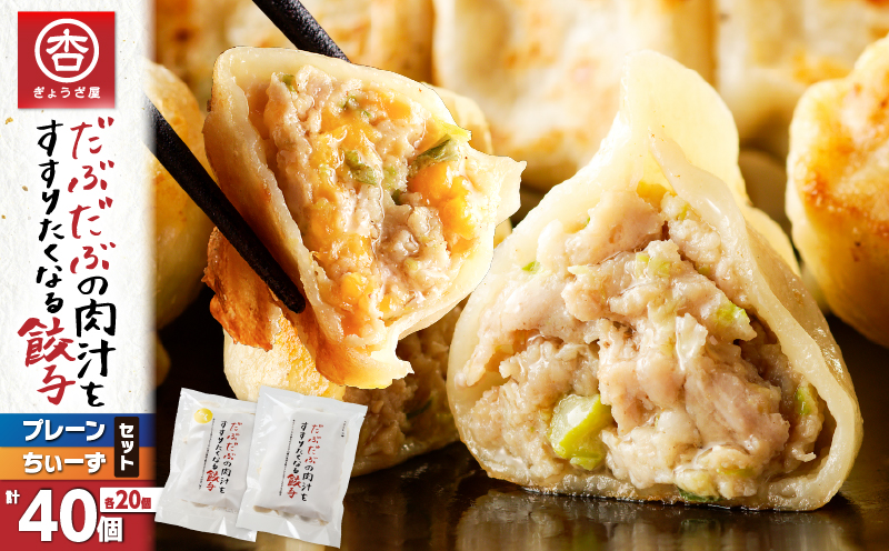 だぶだぶの肉汁をすすりたくなる餃子と餃子ちぃーずセット　T060-005