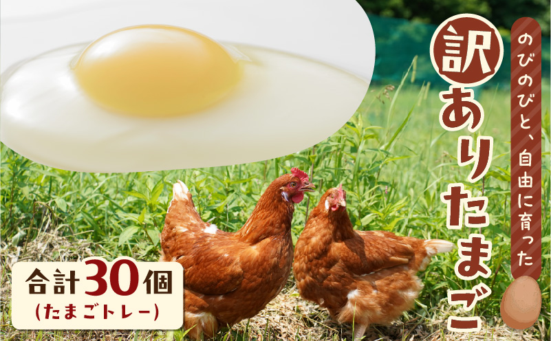 訳ありたまご　（たまごトレー）　T074-002