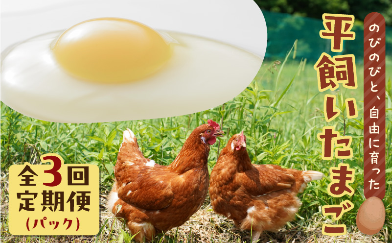 【全3回定期便】平飼いたまご　T074-T01-01