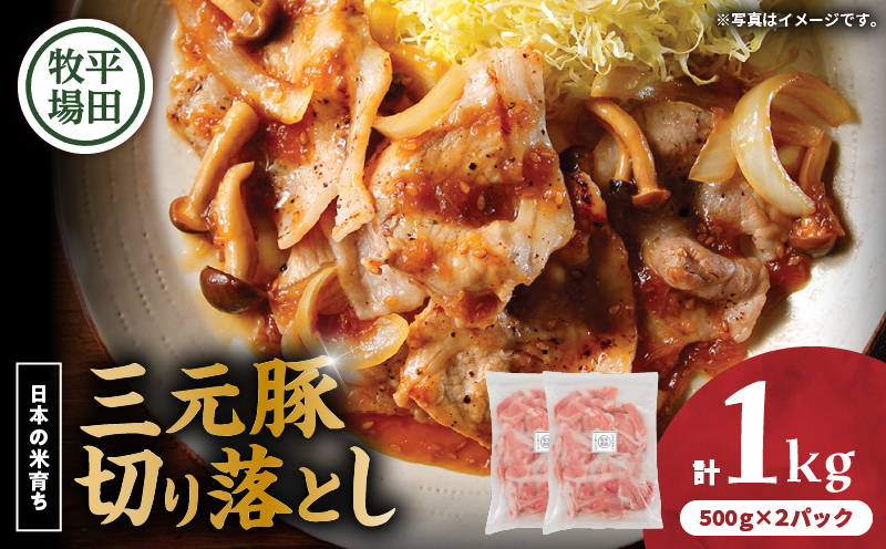 日本の米育ち平田牧場 三元豚切り落とし 500g×2パック（計1kg）　T036-004