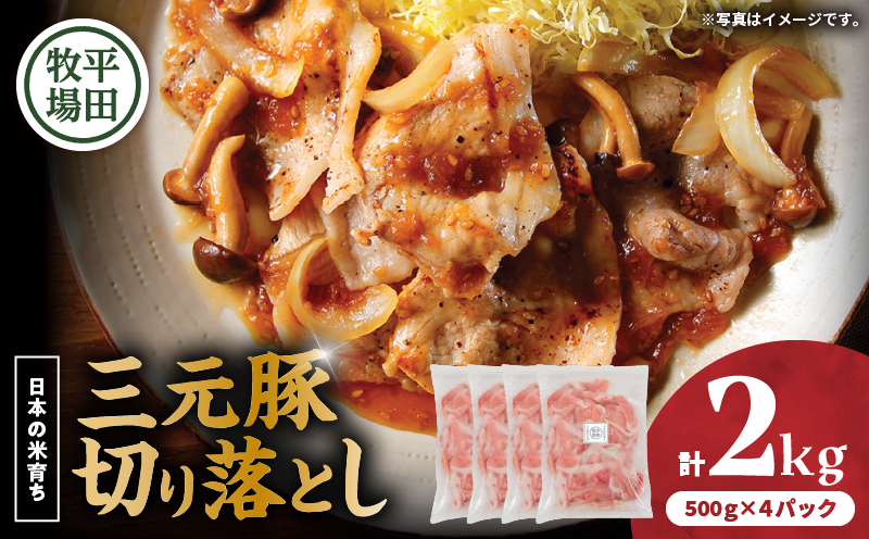日本の米育ち平田牧場 三元豚切り落とし 500g×4パック（計2kg）　T036-005