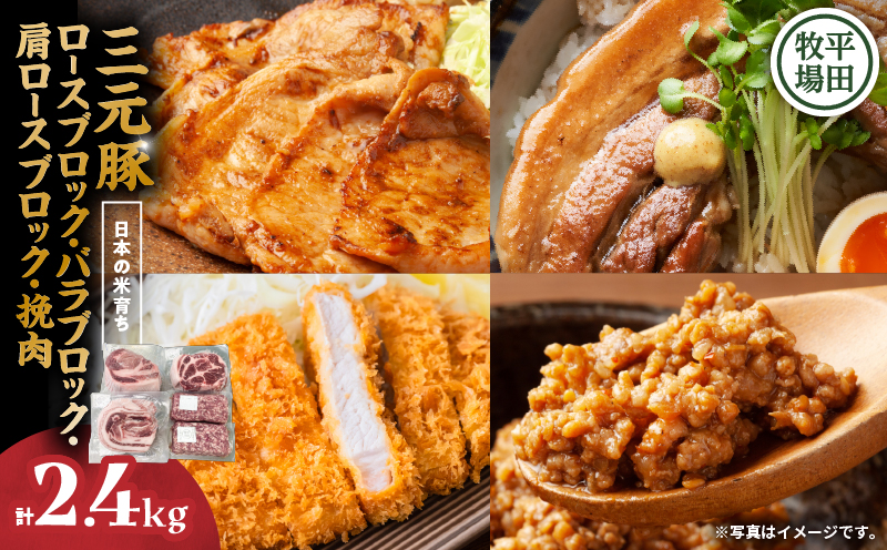 日本の米育ち平田牧場 三元豚ロースブロック・バラブロック・肩ロースブロック・挽肉　各600g（計2.4kg）　T036-011