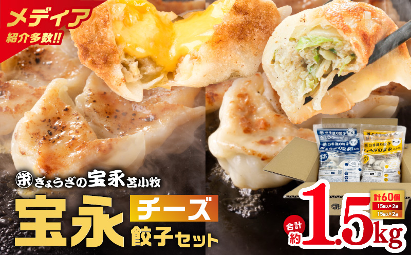 ぎょうざの宝永 チーズ餃子セット（宝永餃子 15個入×2袋＆チーズ餃子 15個入×2袋）合計1.5kg　T004-002