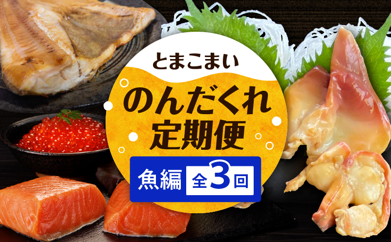 【全3回】とまこまいのんだくれ定期便～魚編～　T000-T06-02
