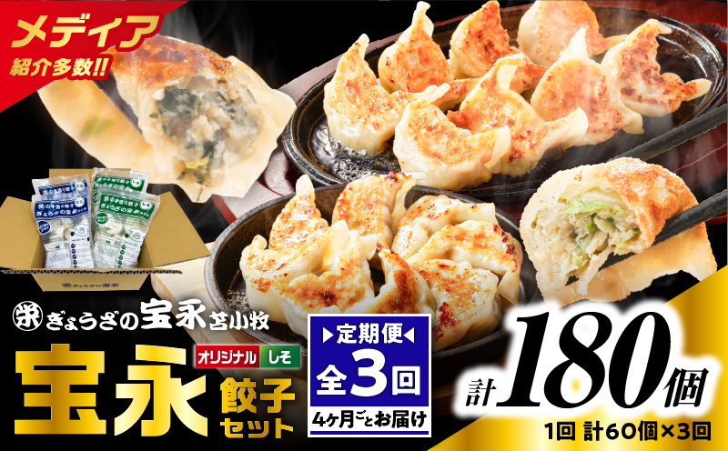 [全3回定期便(4ヶ月毎)]ぎょうざの宝永 しそ餃子セット(宝永餃子 15個入×2袋&しそ餃子 15個入×2袋)合計1.5kg T004-T04-01