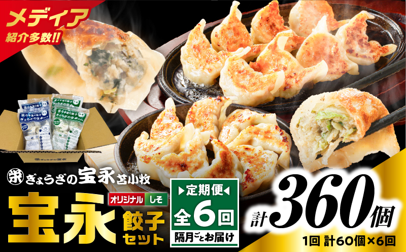 [全6回定期便(隔月)]ぎょうざの宝永 しそ餃子セット(宝永餃子 15個入×2袋&しそ餃子 15個入×2袋)合計1.5kg T004-T04-03