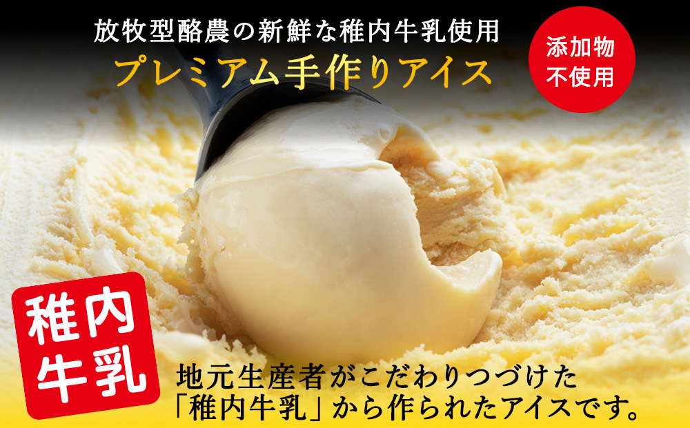 【業務用】JA稚内 アイスクリーム 宗谷の塩 2000ml &【お試し】お刺身用 ほたて 50g セット