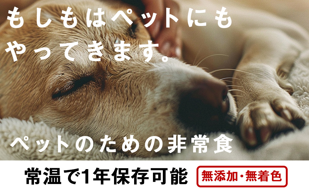 常温保存OK ペットの非常食 エゾシカ水煮【200g×40パック】