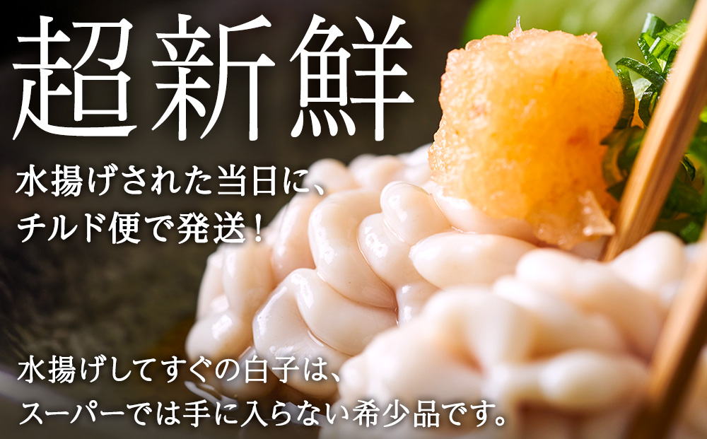 【2026年1月以降発送】【先行予約】旬の時期にチルドでお届け!北海道産白子(真鱈) 1kg 真だち たち タチ 真ダチ