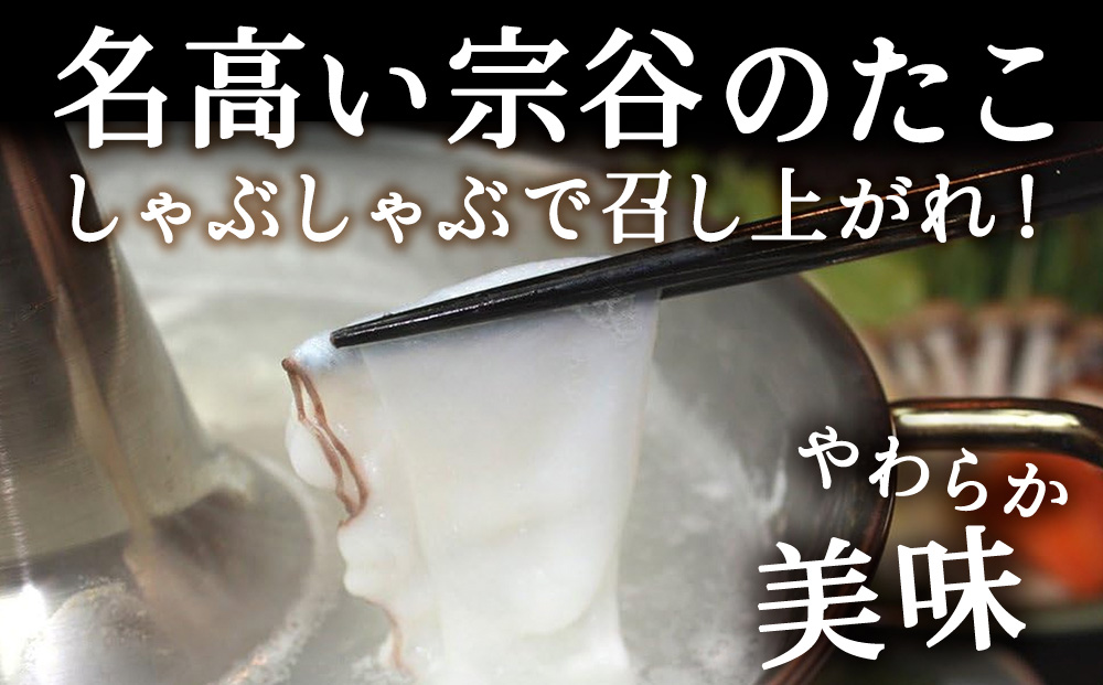 【北海道産】たこしゃぶ セット 500g（特製タレ付）