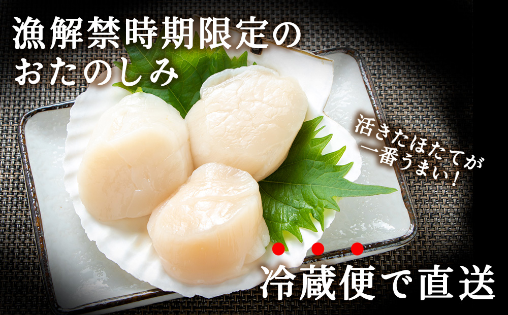 【先行受付】《冷蔵便でお届け!》北海道宗谷産活ホタテ3kg前後詰合せセット　泳ぐ帆立参上!