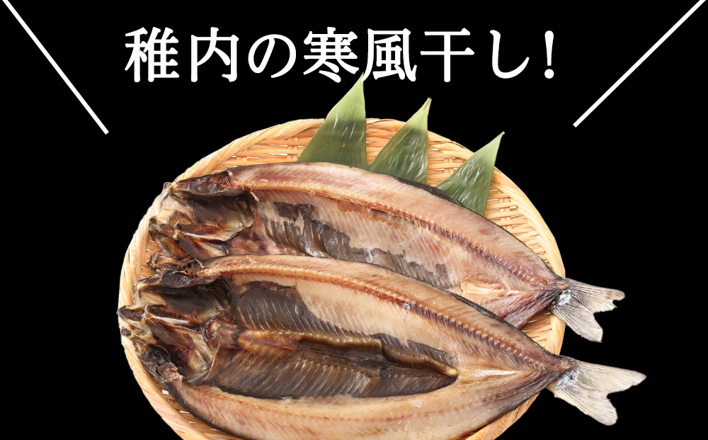 【定期便3ヶ月】一夜干し 開き にしん 5枚セット【北海道の居酒屋気分】