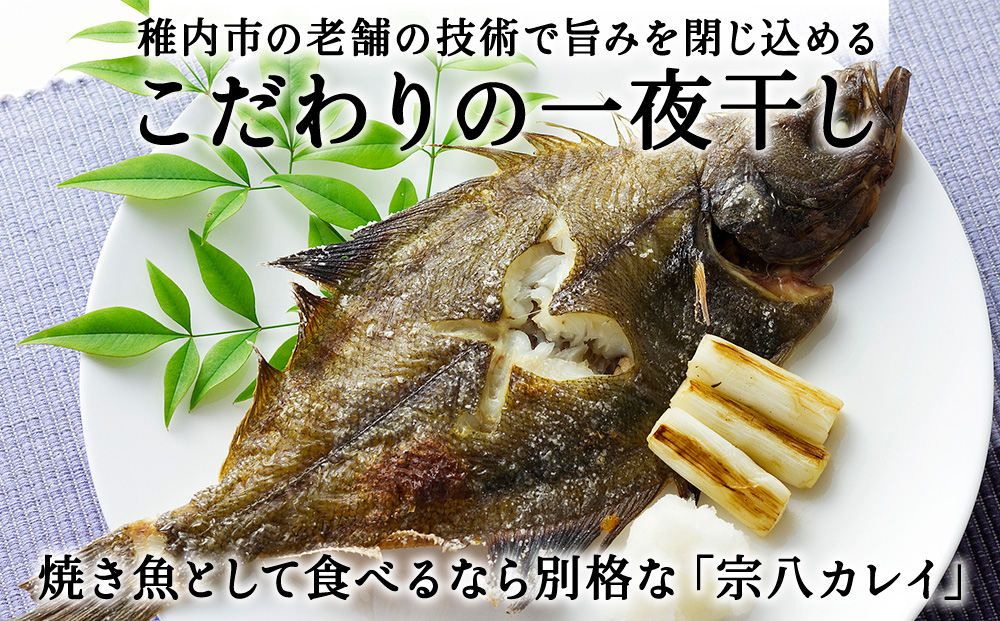 【定期便6ヶ月】一夜干し 宗八 カレイ 4パックセット【北海道の居酒屋気分】