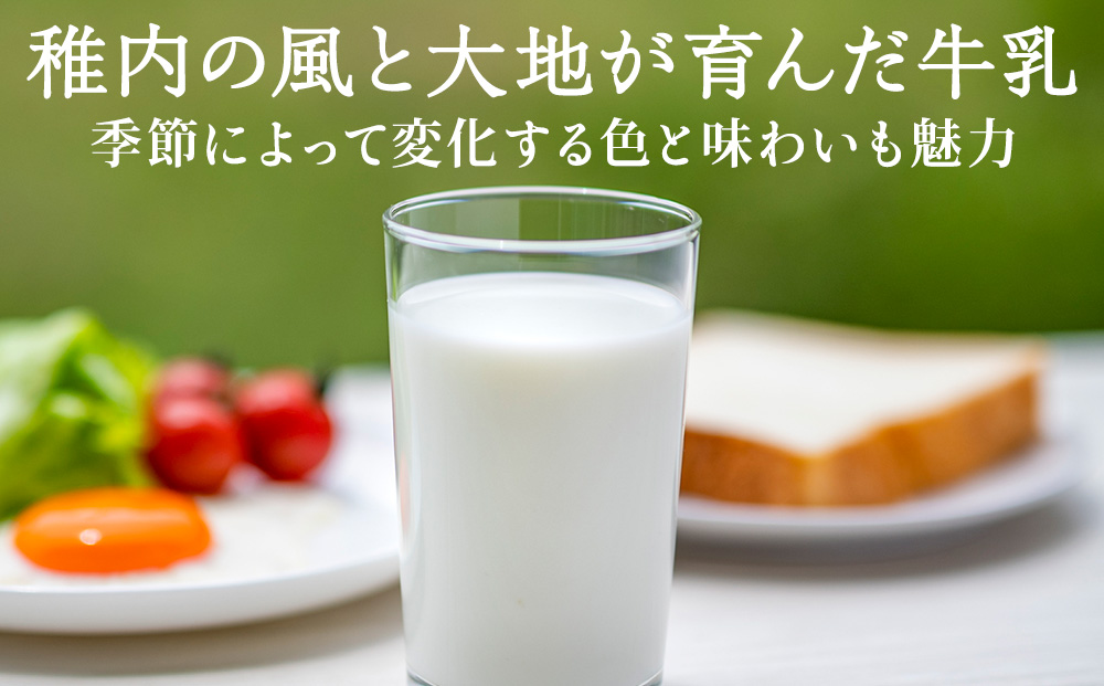 【定期便3ヶ月】稚内牛乳 200ml×8本