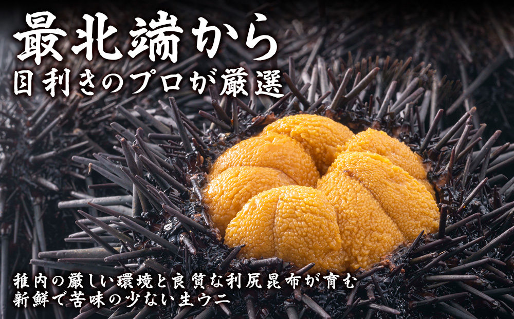 【先行予約】美味しいウニは昆布の名産地にあり!生むらさきうに120g